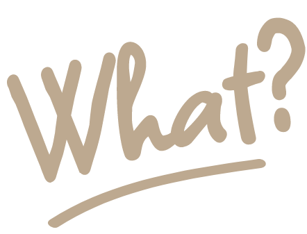 what.1670016162.png